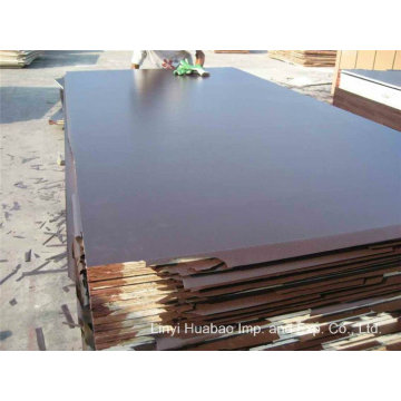 18mm Black Film Poplar Core Marine Plywood to Dubai Market